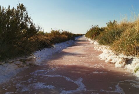 Cervia salt pan - A channel for the transport of water between the salt pans - On the surface you can see the salfiore, very pure salt - BBOfItaly