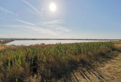 Cervia salt pan -View of the internal tanks - BBOfItaly