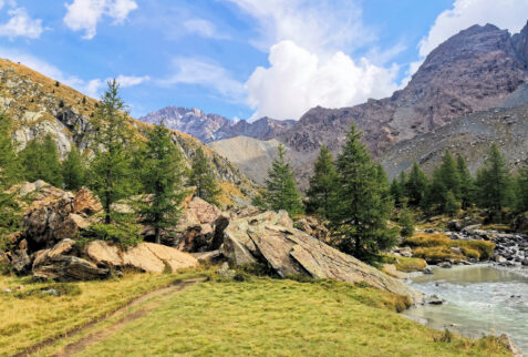 From Preda Rossa to Val Masino - Preda Rossa environment is pristine and of incredible beauty - BBofItaly
