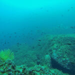 La torretta dive 03 - BBofitaly