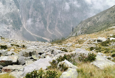 Val Soé Bocchetta del Manduario - Looking the bottom valley from its higher lands