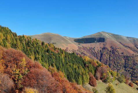 autumn-colours-BBofitaly