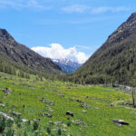 Val Soana - Vallone di Campiglia