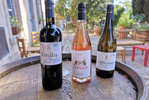 Tenuta Marsiliana – three different types of vine tasted during the visit: a red, a white, a rosé