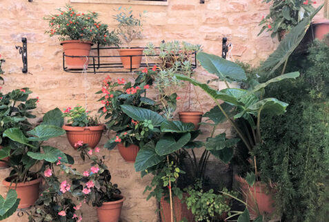 Assisi - glimpse on an alley