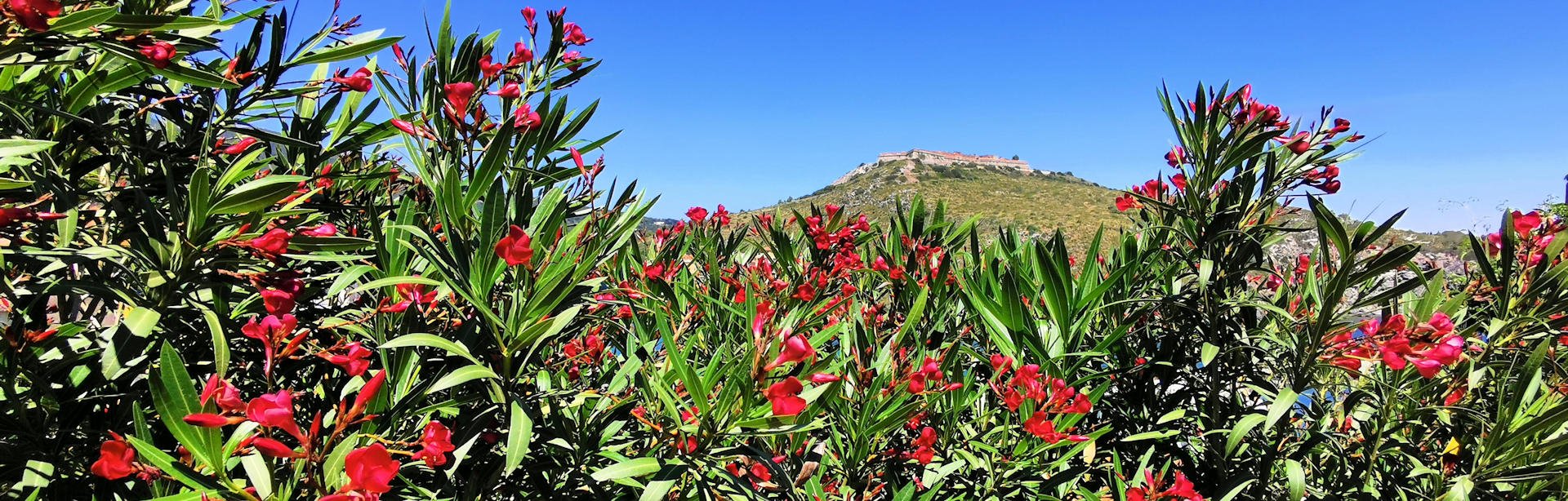 Porto Ercole