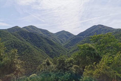 Montereggio – fantastic dense forests surrounding the hamlet