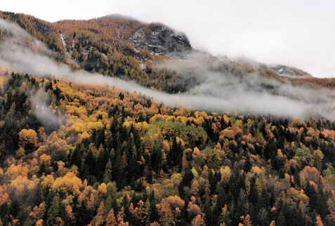 Valle d’Asota – colourful forest, fog and first snow