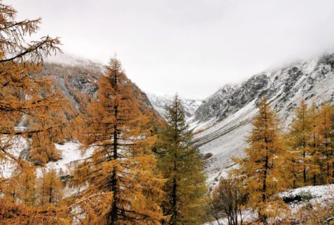 Valle d’Aosta – fall colours yellow, green and white
