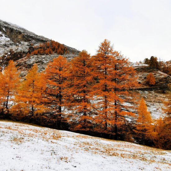 Valle d'Aosta