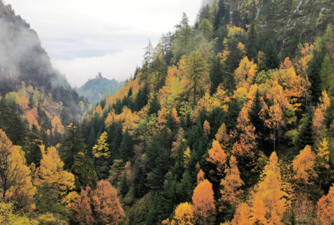 Valle d’Aosta – a hilltop castle dominates the colourful forest