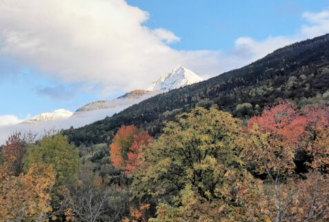 Valle d’Aosta – a fantastic woods dominated by Becca di Nona
