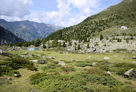 Malga del Toro – meadows and pastures around the Malga