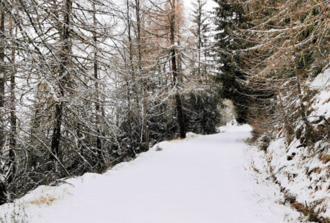 Valle d’Aosta by snowshoes - going up in unspoiled environment