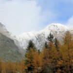 Val Ferret Rifugio Elena – landscape going up to the shelter