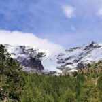 Val d’Ayas Monte Rosa – a tongue of Grande Ghiacciaio di Verra comes down towards the big pines forest