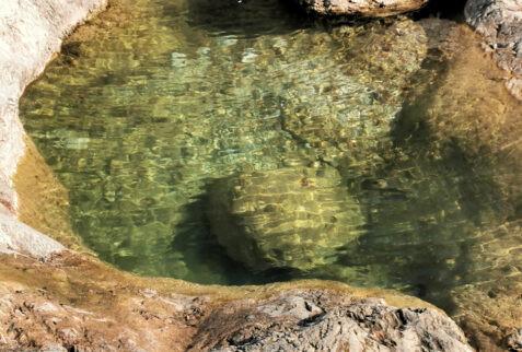 Erve Lombardia – a little pond of Gallavesa stream