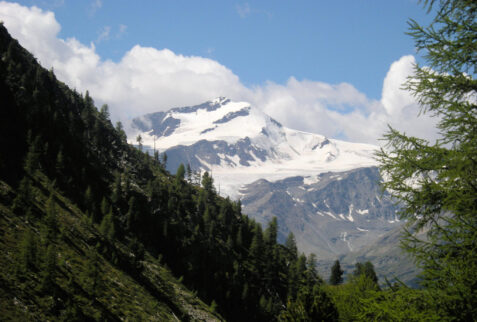 Lago Verde Val Martello – going up still accompanied by the view of Cevedale