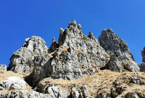 Resegone Lombardia – the invironment close to Valnegra gulley
