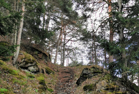 Turlin and Champailler – path in the forest is very steep and narrow