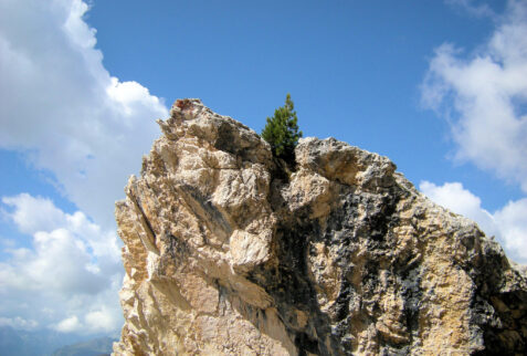 Rifugio Averau – strength of nature is to make a lonely tree grow up on the top of a rocky tower !