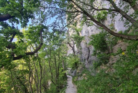 Path to the top of the Pietra di Bismantova - Emilia Romagna