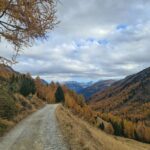 Path across the valley - Val Viola