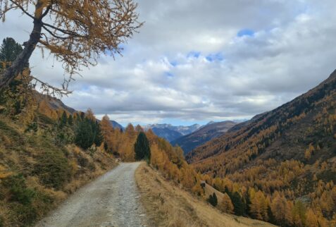 Path across the valley - Val Viola