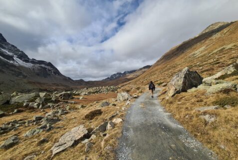 Path to Viola Shelter - Val Viola