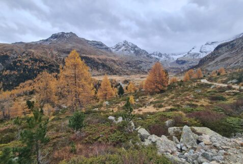 Plain in front of Pizzo Dosdé Glacier - Val Viola