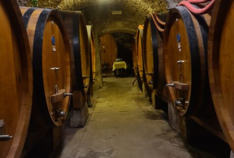 Wine cellar of Taverna Squarcialupi - Castellina in Chianti