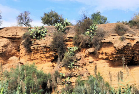 Valle dei Templi – a rocky wall of the former basin in Kolymbethra – BBofItaly