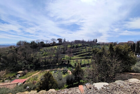 Anghiari – landscape seen from the walls of the hamlet - BBofItaly