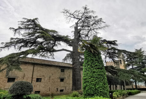 Castello of Monterado residence - BBofItaly