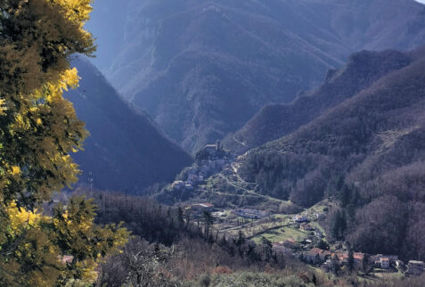 Monte dei Bianchi – the intersection area between Lucido and Aulella streams – BBofItaly
