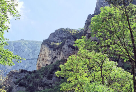 Furlo Gorge – environment surrounding the gorge – BBofItaly