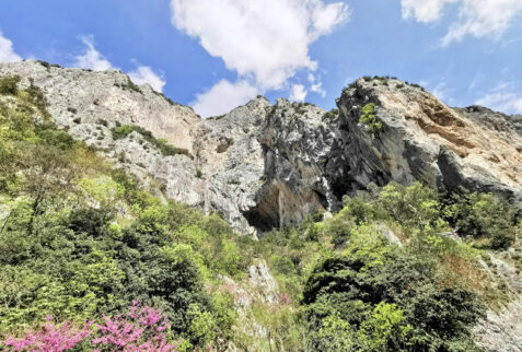 Furlo Gorge – vertical walls on the side of the gorge – BBofItaly