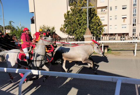 San Martino in Pensilis – knights escort the ox-drawn cart - BBofItaly