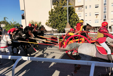 San Martino in Pensilis – knights push the ox-drawn cart – BBofItaly