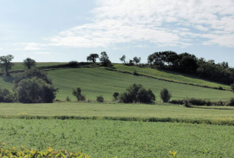 Larino – environment surrounding the Agriturismo Essentia – BBofItaly
