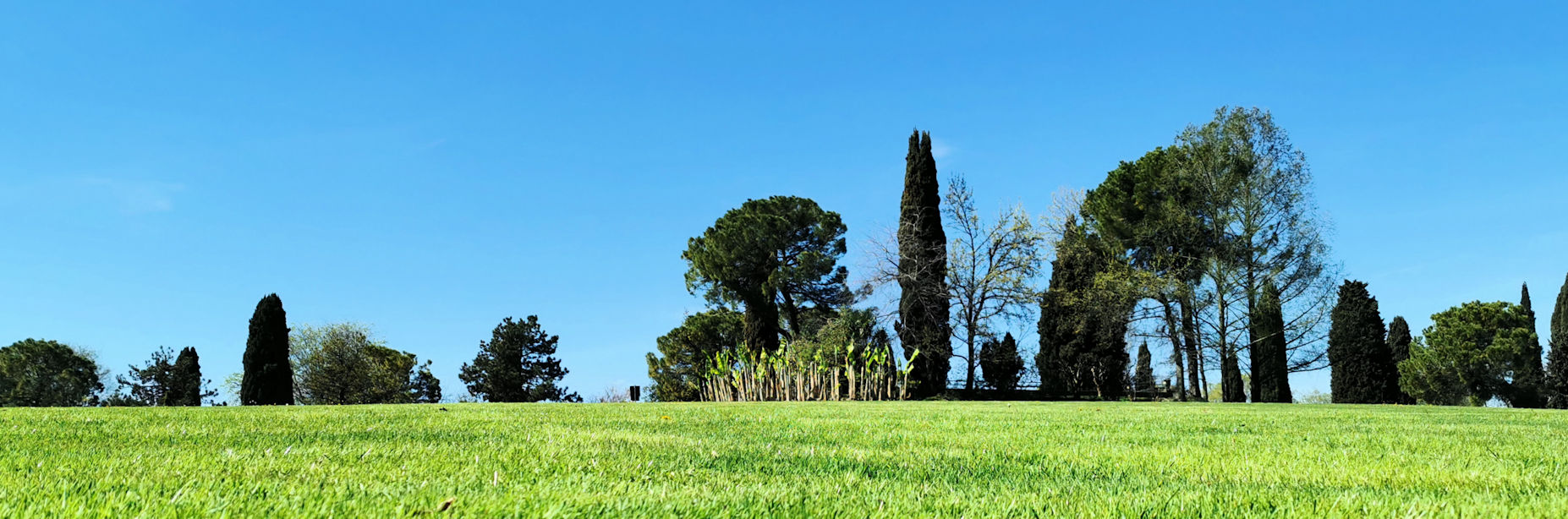 Parco Sigurtà - BBofItaly