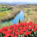 Parco Sigurtà – Mincio river seen from the park – BBofItaly