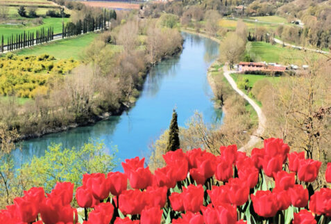 Parco Sigurtà – Mincio river seen from the park – BBofItaly