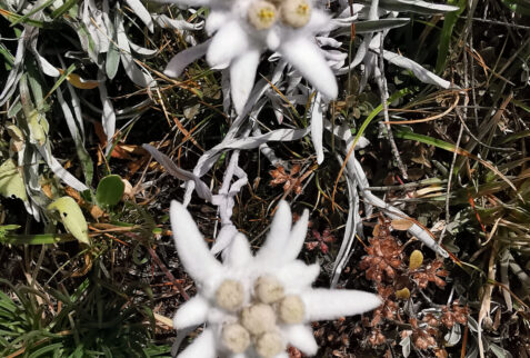 Becca France – what a beauty ! – BBofItaly