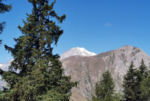 Punta Fetitia - going up along the pine forest you can observe the top of the Mont Blanc – BBofItaly